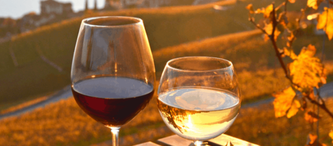 Categoria Vino